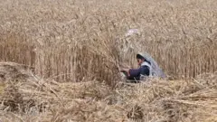 علامتی تصویر 