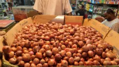 বাজারে একটি দোকানে কাগজের কার্টনে বিছিয়ে রাখা পেঁয়াজ