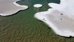 જીવતાં પથ્થરો 