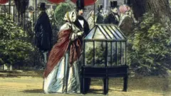 Pintura de um casal observando uma caixa de Ward numa exposição entre vegetação