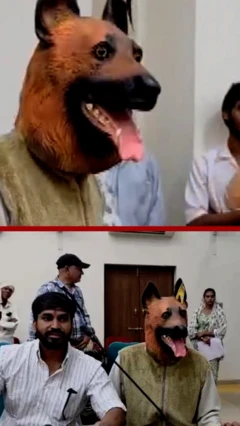 مردی با ماسک سگ در جلسه نشسته