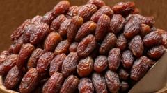 আসছে রোজায় ইফতারির অন্যতম অনুসঙ্গ খেজুর