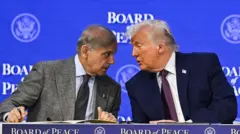 شہباز شریف ٹرمپ