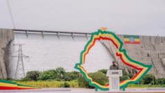 ግብፅ በኢትዮጵያ ላይ ለተባበሩት መንግሥታት የፀጥታ ምክር ቤት አቤቱታ አቀረበች