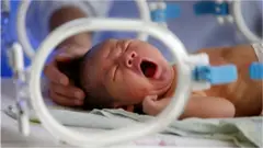 One baby yawn or cry for inside incubator