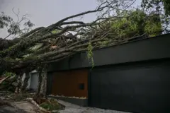 Casa atingida por árvore após fortes chuvas em São Paulo, em 23 de setembro de 2025.