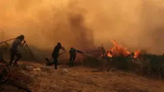 Atina yakınlarında alevlerle mücadele edenler