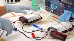 Awọn ọra ti wọn ko ẹjẹ pamọ sinu wọn