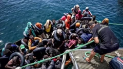 Migrantes encontradosjogos no betanobarco que tentava deixar a Tunísiajogos no betanodireção à Europa 