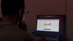 एसईई
