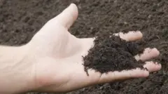 Nama biyyoo harkaan qabe