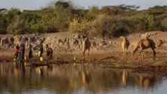 Gogiinsa naannoo Oromiyaa fi Somaaleetti mudateen namoonni rakkataa jiru
