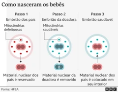 Infográfico mostrando o passo a passo do processo de fecundação usando material genético de três pessoas