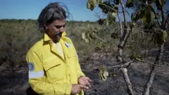 Marco Borges, com jaqueta amarela, mostra semente de árvore atingida por queimada prescrita.