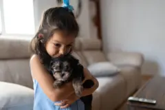 Pets