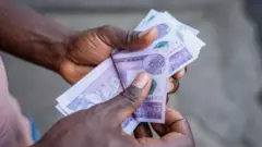 የሁለት መቶ ብር ኖቶችን የሚቆጥር ወንድ እጅ