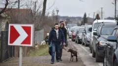 мвс