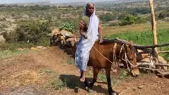 બીબીસી ગુજરાતી