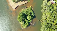 केरळमध्ये नदीच्या खाडीतलं बेट आणि कांदळवन