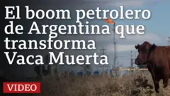 Una vaca con una torre petrolera de fondo en Vaca Muerta, Argentina