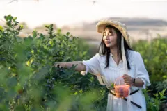 બીબીસી ગુજરાતી, ગુજરાત, બીબીસી, અમદાવાદ, પેરુ, ફળની ખેતી, રણવિસ્તારમાં ખેતી