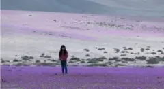 التغير المناخي