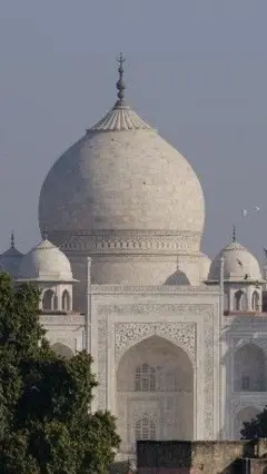 تاج محل