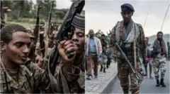 ሓይልታት ፌዴራልን ትግራይን 