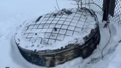 то что осталось от Орешника