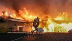 अमेरिकेतील लॉस एंजेलिसच्या वणव्यात 11 जणांचा मृत्यू, धगधगणाऱ्या आगीचं नेमकं कारण काय?