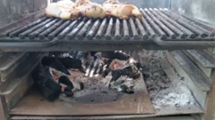 Cozinha improvisada de Elizabeth Contreras