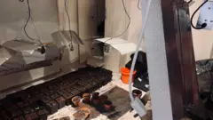 وسایل کاشت ماری‌جوانا در خانه اجاره‌ای