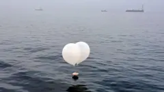በሰሜን ኮሪያ ከተላኩ ፊኛዎች መካከል