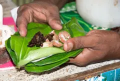 බුලත් යනු සිංහල සංස්කෘතිය සමග ඈත අතීතයේ සිට අත්‍යන්ත බැඳීමක් සහිත ශාකයක් වන අතර ශ්‍රී ලංකාවේ දේශපාලනය කෙරෙහි ද බුලත්වලින් බලපෑම් සිදුවූ අවස්ථා මෑත ඉතිහාසයේ පවා දැකිය හැකි ය.