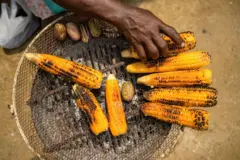 Du maïs grillé sur un fourneau