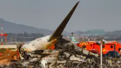 Debris of a crashed plane