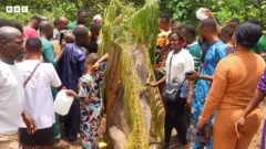 Ọpọ eeyan llunrin ati ni obinrin, ni ọmọde ati agba pejọ sidi orisa Ansoogun-Ọlala, wn mu korondodo funfun lọwọ, orisa Ansoogun si duro laarin, o jẹ apata kekere ribiti, ti wọn ta ọpọlọpọ mariwo ọpẹ mọ lara