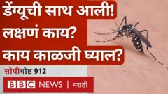 डेंग्यू