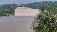 ਪੌਂਗ ਡੈਮ