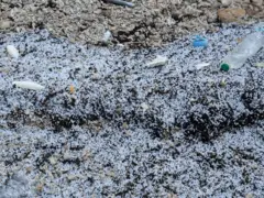 ප්ලාස්ටික්