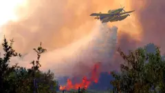 Planes like this Air Tractor AT-802F Fire Boss have been used to dump water on fires in both Spain and France
