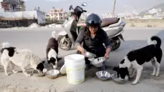 Lady who feeds dog
