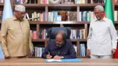 የሶማሊያው ፕሬዝደንት ሐሰን ሼክ ሞሐሙድ
