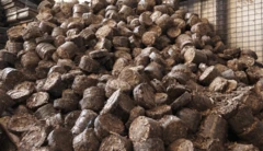 આગ વિના ચાલતું અનોખું રસોડું, એલપીજી સિલિન્ડરોની અછત, મહારાષ્ટ્રન, અકોલા, 'પ્રભાત સ્કૂલ', બીબીસી ગુજરાતી