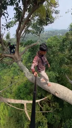 မီတာ ၅၀ ကျော်သစ်ပင်တွေတက်ပြီး ပျားဖွပ်သူတွေ