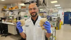 El Dr. Sherif Elsharkawy, con guantes azules, túnica blanca de laboratorio y gafas protectoras, sostiene dos mechones de pelo rubio en un laboratorio