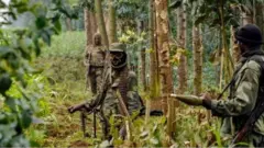 Inyeshyamba muri DR Congo