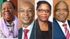 South Africa cabinet shake up