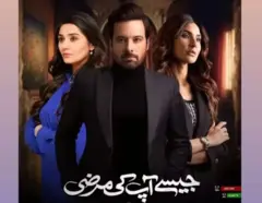 جیسے آپ کی مرضی