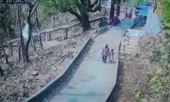 সামাজিক মাধ্যমে ছড়িয়ে পড়া সিসি ক্যামেরা ফুটেজে দেখা যায়, ওই ব্যক্তি পার্কের ভিতর শিশুটিকে হাত ধরে নিয়ে যাচ্ছেন